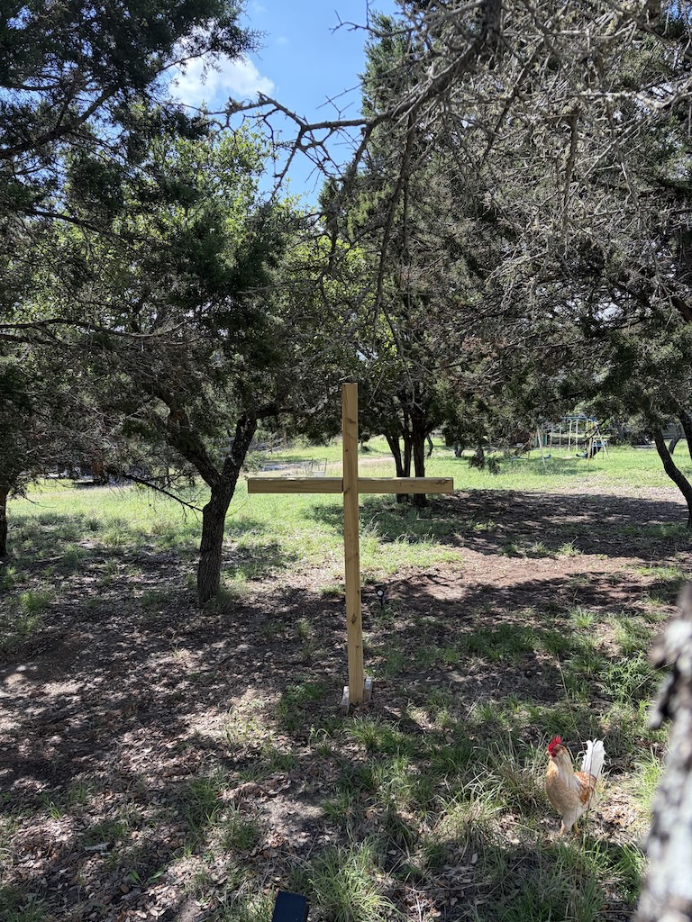 Farm photo 4