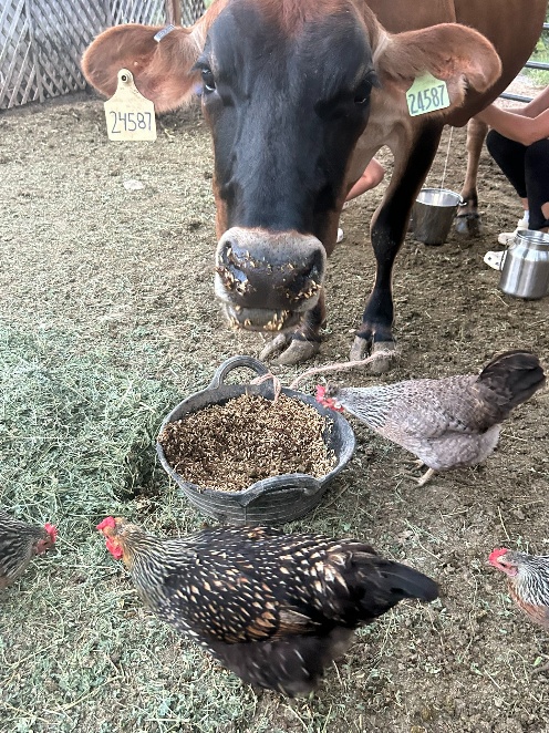 Farm photo 11