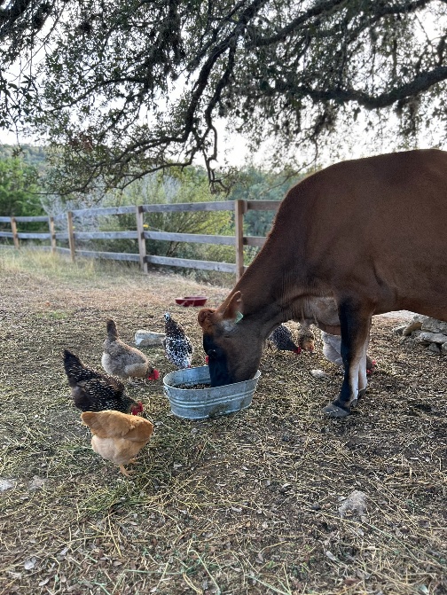 Farm photo 14