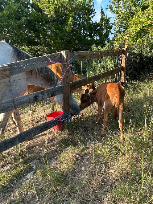 Farm photo 18