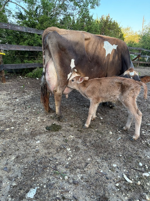 Farm photo 6