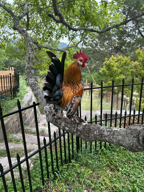 Farm photo 7